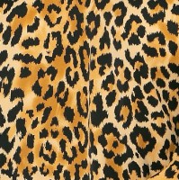 Sukienka animal print, kolor ochry