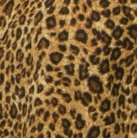 Sweterkowa kopertowa sukienka, animal print, kolor ochra