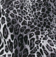 Παντελόνι Ψηλόμεσο Με Λάστιχο Animal Print Γκρι Σκούρο