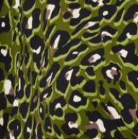 Μπλούζα Νυχτερίδα Animal Print Πράσινο